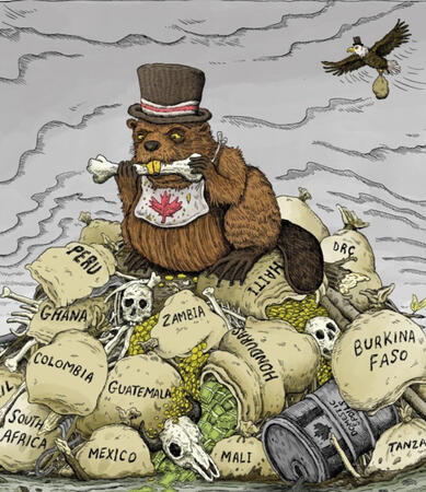 Rethinking Canadian Studies (2025)